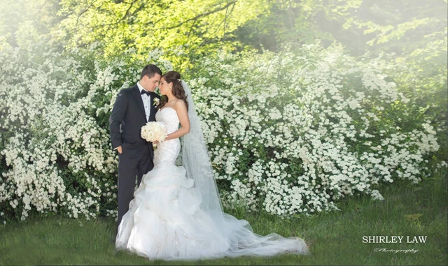 Shirley Law Photography & Films, Markham