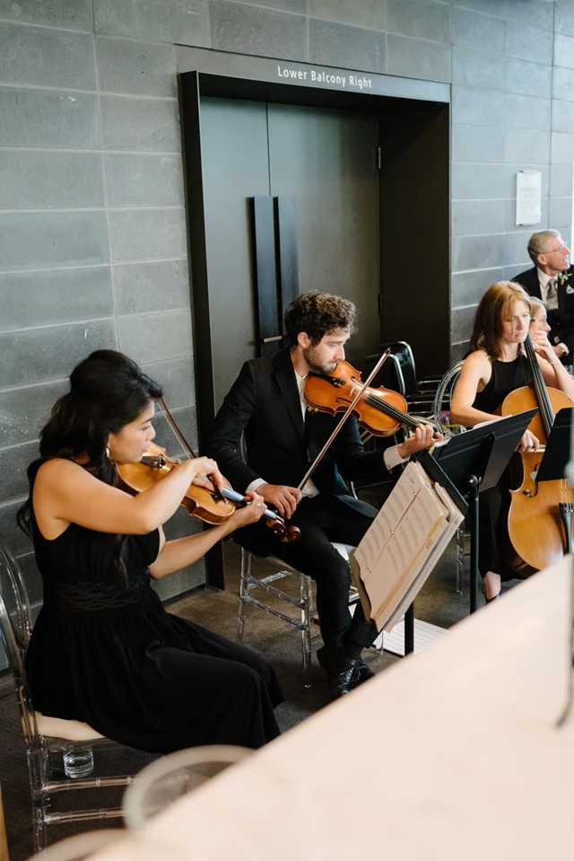 StereoFlavour Strings