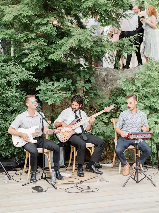 Live Music & Bands: StereoFlavour Entertainment 5