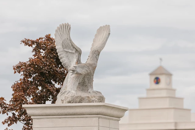 Wineries: Stone Eagle Winery 15