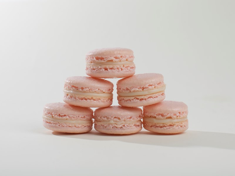 Sugar Suite