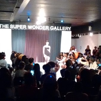 Galleries/Museums: Super Wonder Gallery 7