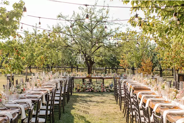 Event Rentals: Tailored Tables 4