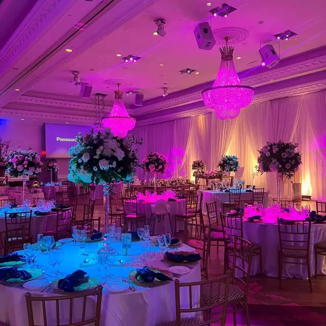 Disc Jockey's / DJs: Taurus Entertainment 13