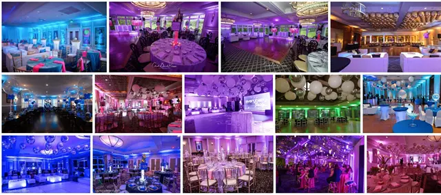 Disc Jockey's / DJs: Taurus Entertainment 4