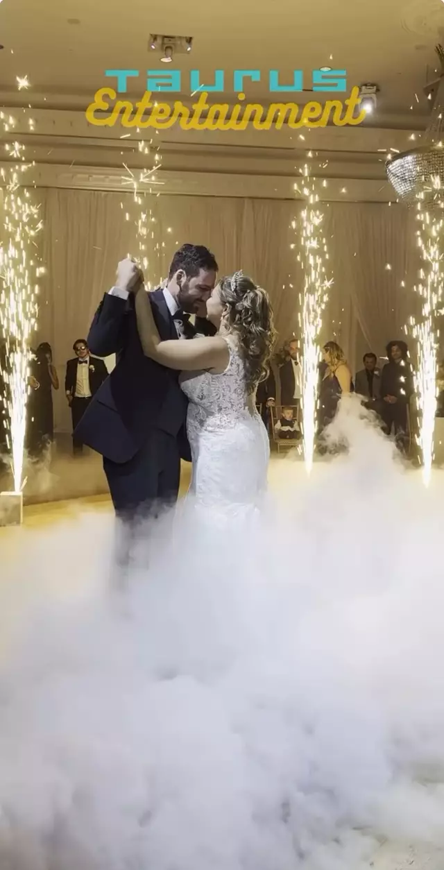 Disc Jockey's / DJs: Taurus Entertainment 6