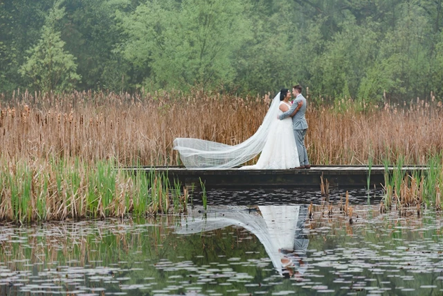 Terra Cotta Wetland. Gillian Foster Photography