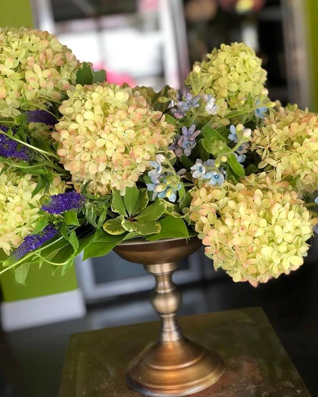 Terrain Flowers, Toronto