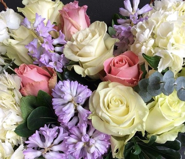 Terrain Flowers, Toronto