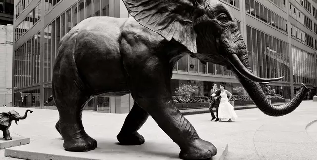 Photographers: The Art of Weddings 10