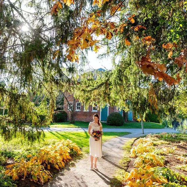 Photographers: The Art of Weddings 6