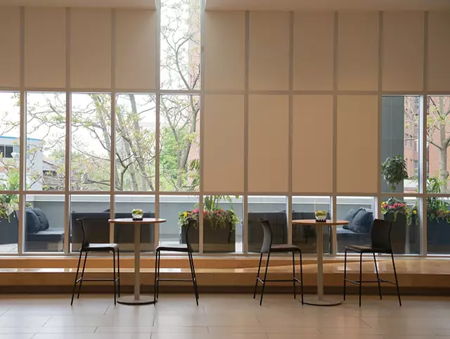 Special Event Venues: The Bram & Bluma Appel Salon 17