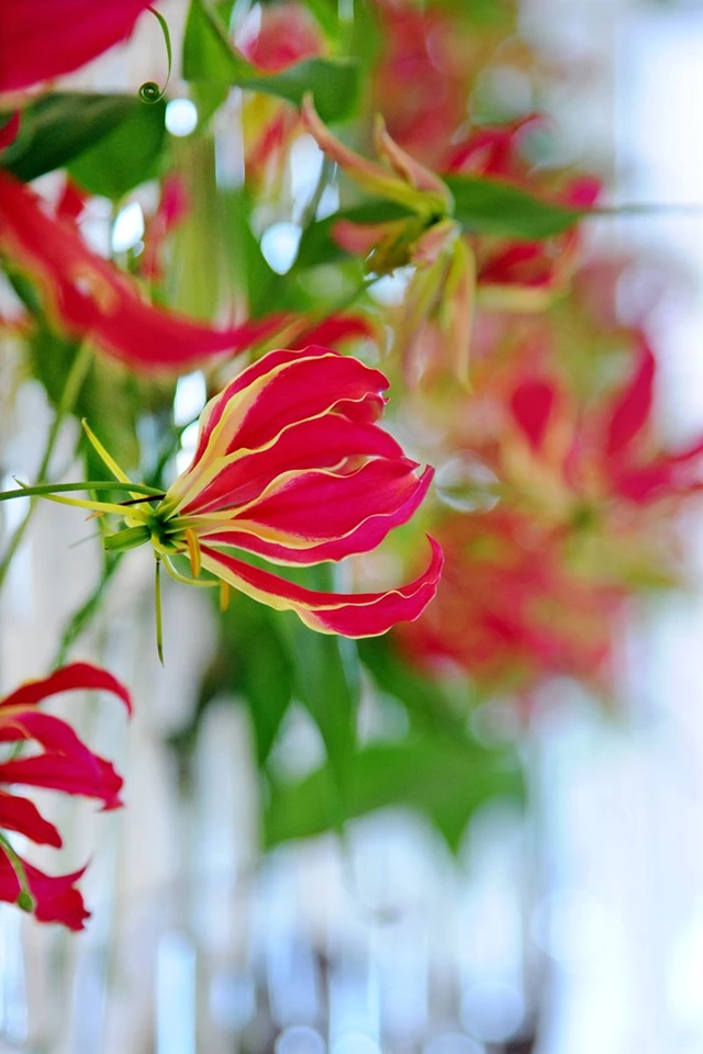 Loft & Studio Spaces: The Florist's Loft 23