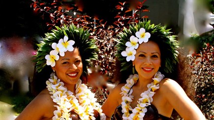 Image - The Hawaiian Dance Company