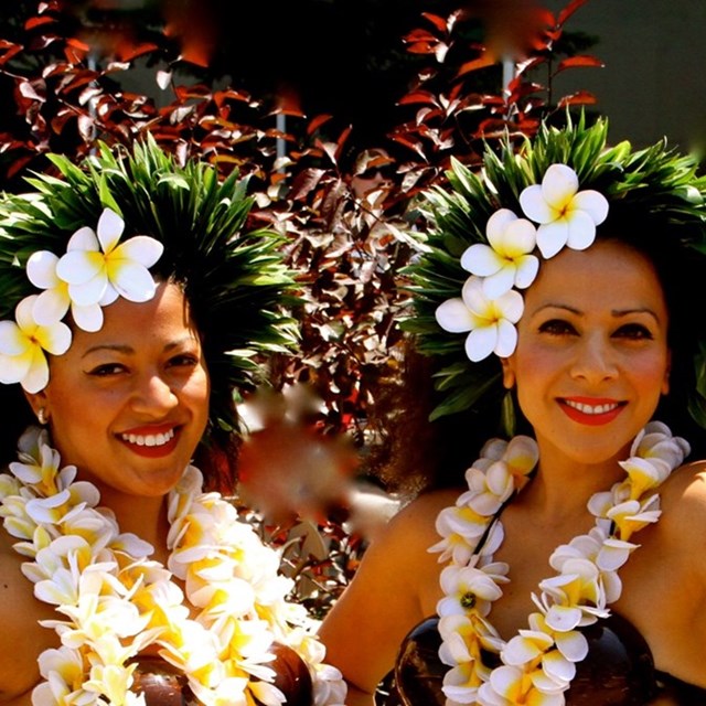 Entertainment: The Hawaiian Dance Company 1