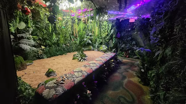 Entertainment Venues: The JunXion 8