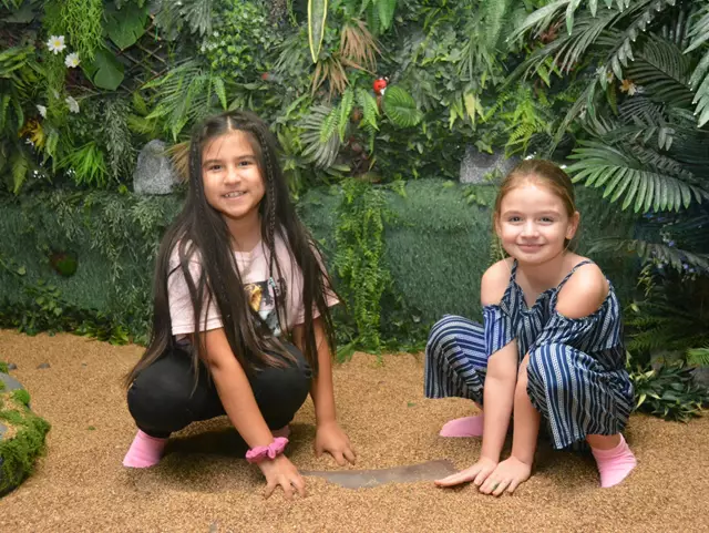 Entertainment Venues: The JunXion 4