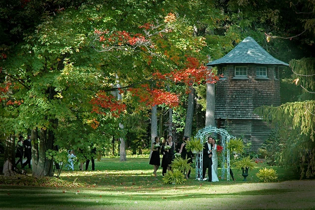 Gorgeous Lawns