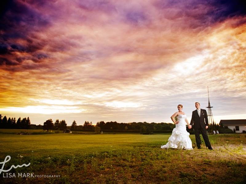 Carousel images of The Wedding Coach