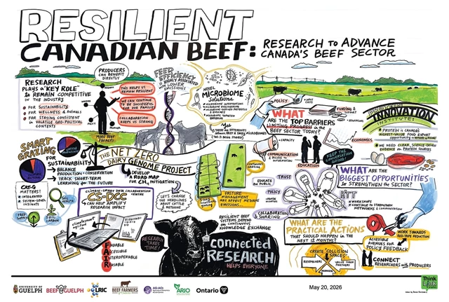 Visual Notes - Live Graphic Recording Manitoba