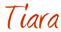 kosher catering companies in the gta, 4