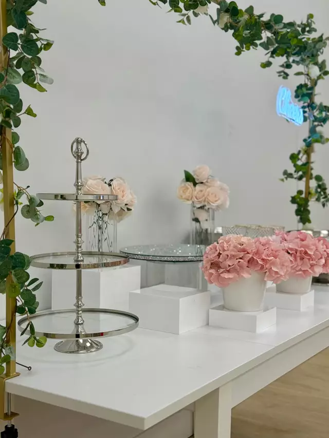 Special Event Venues: Tiara & Tuxedo Event Venue 15