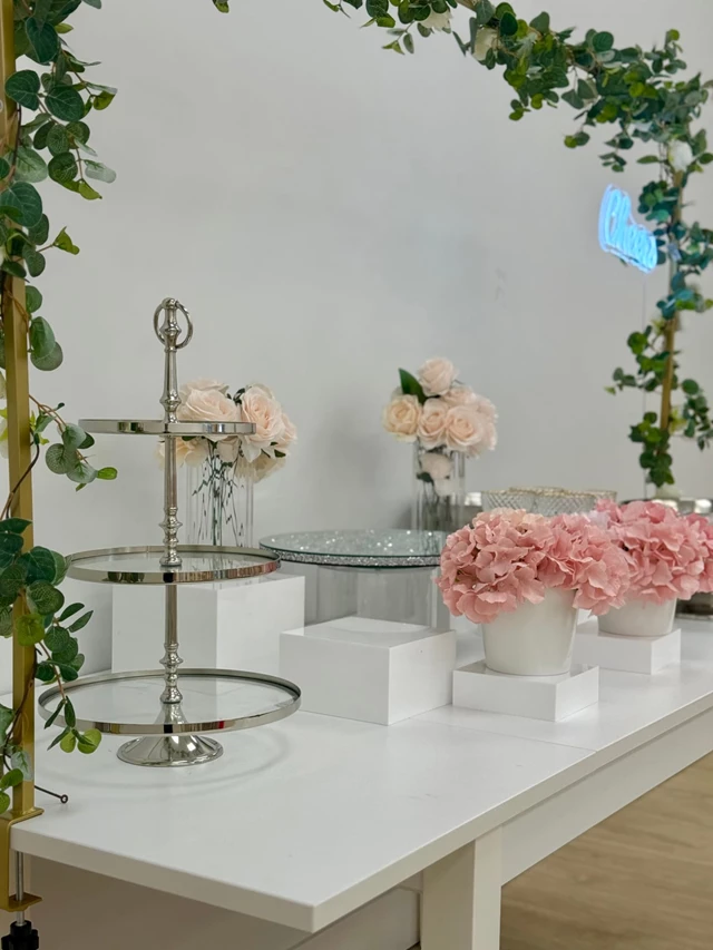 Special Event Venues: Tiara & Tuxedo Event Venue 10