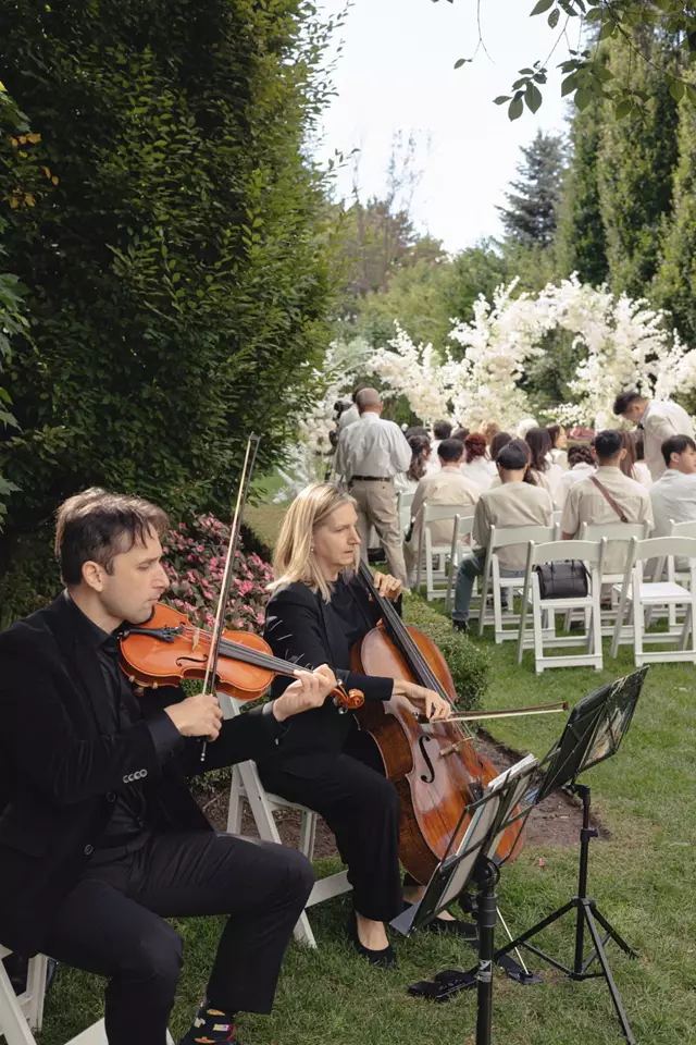 Live Music & Bands: Tiffany Jazz Trio 3