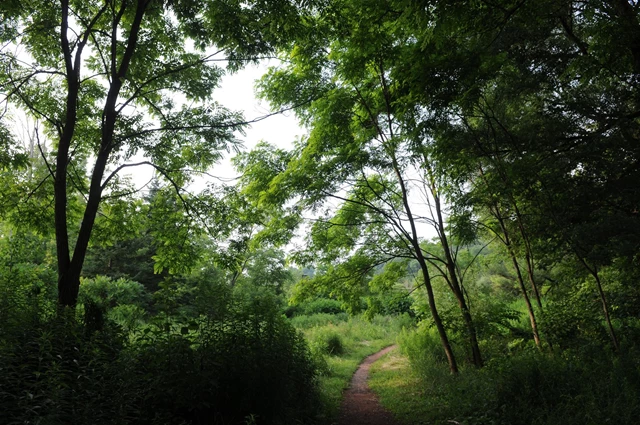 Scenic grounds