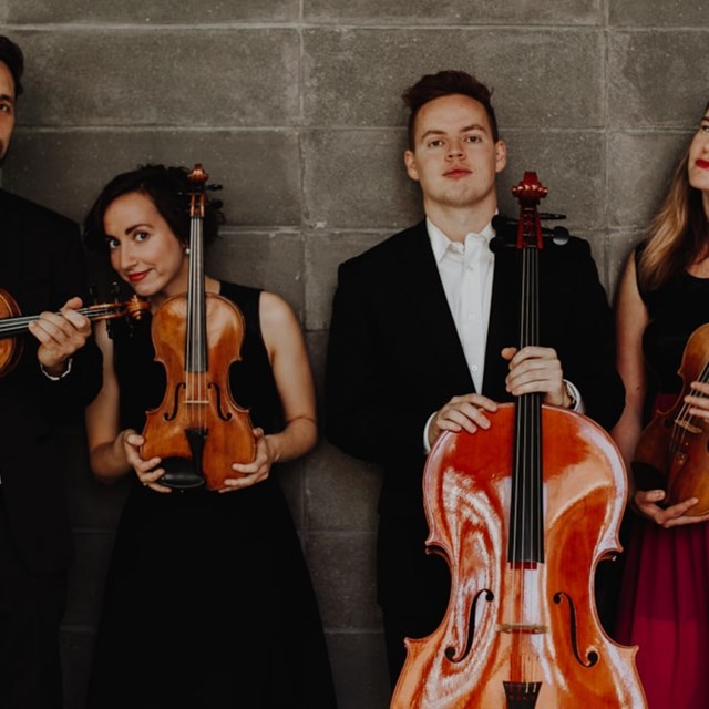 Live Music & Bands: Toronto String Quartet 1