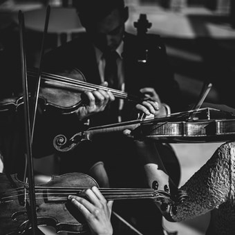 Live Music & Bands: Toronto String Quartet 12