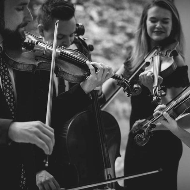 Live Music & Bands: Toronto String Quartet 1