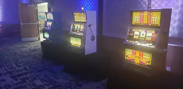 Game & Fun Rentals: Ultimate Party Services 5