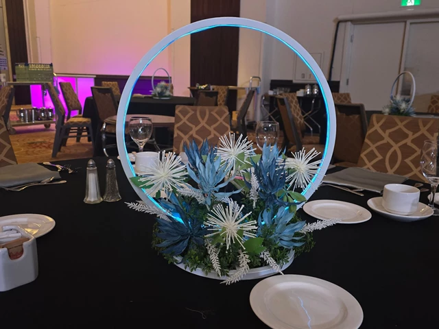 Game & Fun Rentals: Ultimate Party Services 24