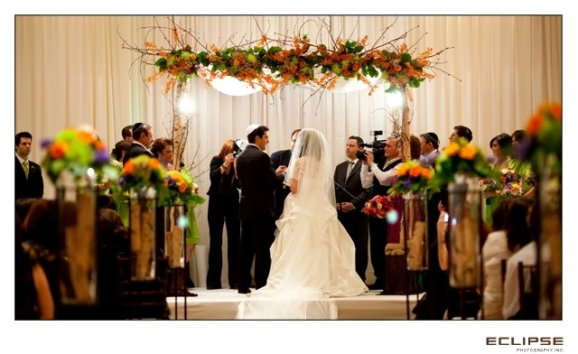 Video Productions by Josh, Vaughan