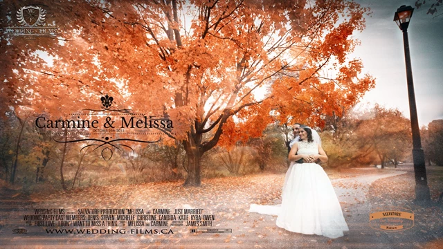 wedding cinematography videography