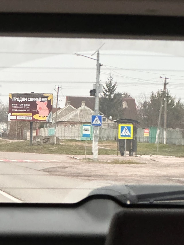 Live Music & Bands: Welcome to Miami ES 1