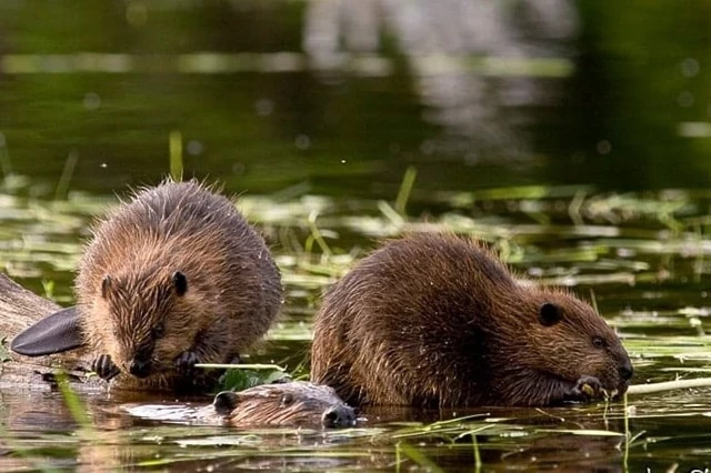 Photographers: Welcome to Miami ES 1