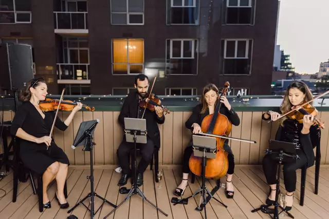 Live Music & Bands: Wellington Music 2