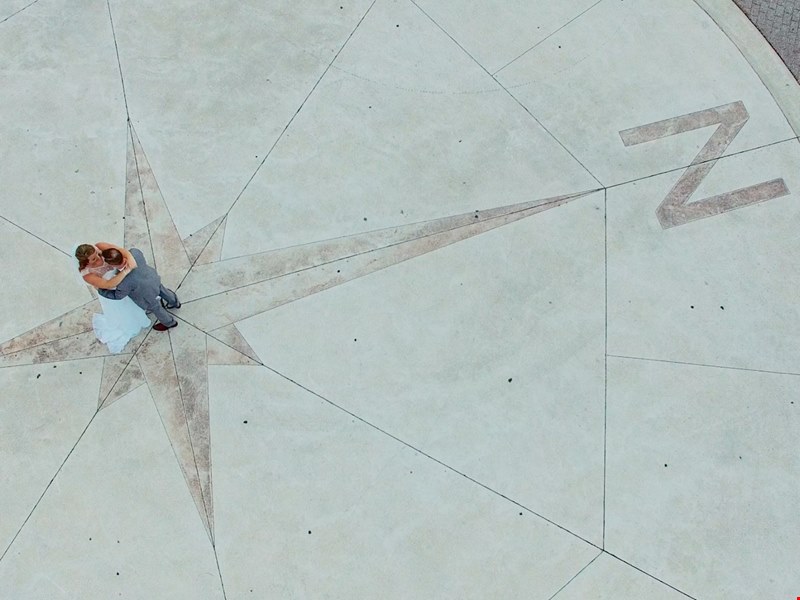 Wild and Free Films