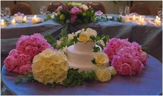 Wildflowers & Company, Toronto