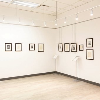 Galleries/Museums: Withrow Common Gallery 4