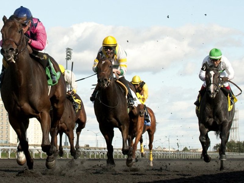 Carousel images of Woodbine Racetrack