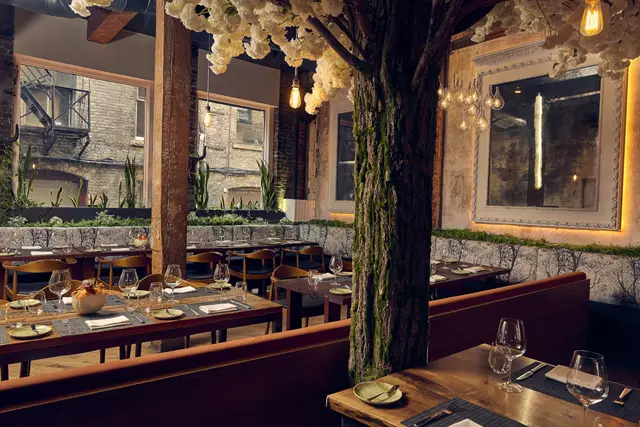 Restaurants: Woods Restaurant 21