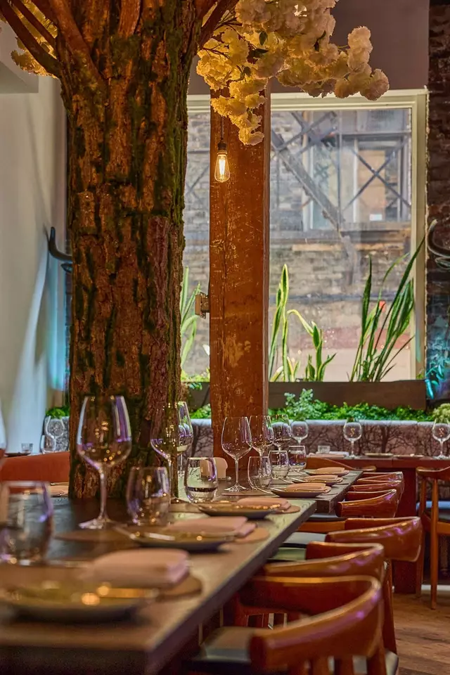 Restaurants: Woods Restaurant 11