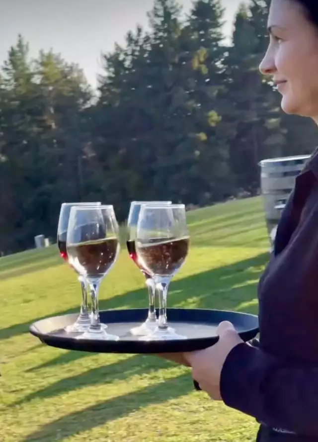 Staffing: Yane's Staffing Service 16