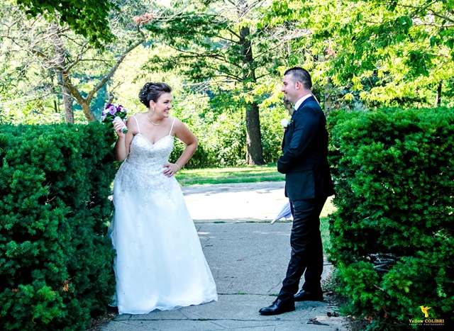 Yellow Colibri Media, Toronto