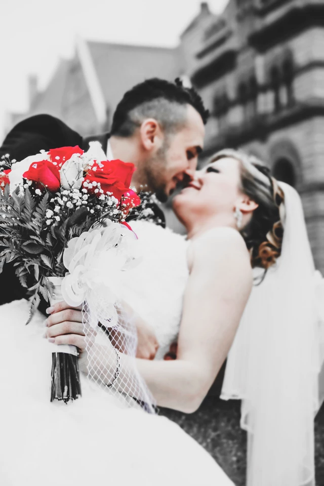 Yellow Colibri Media, Toronto