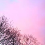 Your Wedding Officiant