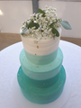 Fabulous Cakes and Confections